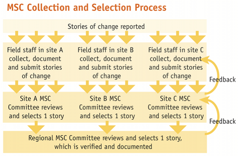 "Most Significant Change" Collection and Selection Process chart that shows a basic flow of how stories are reported and documented.